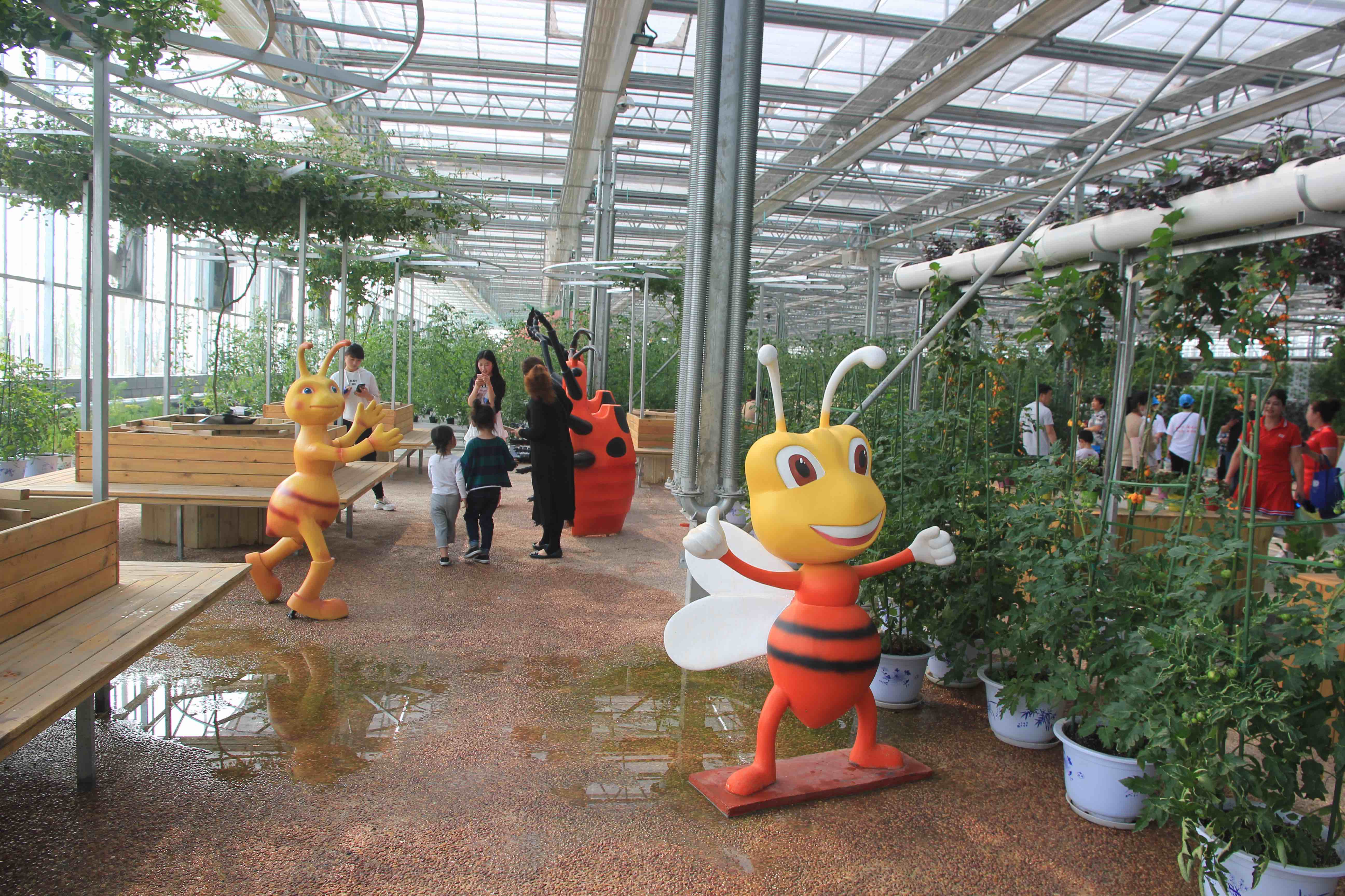 ����䓵���